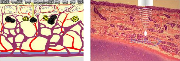 �����³��д���Ǻ�ҽԺ